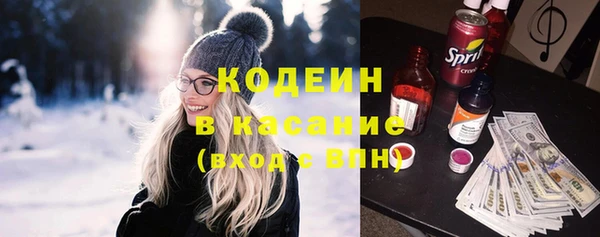 прущие грибы Алзамай
