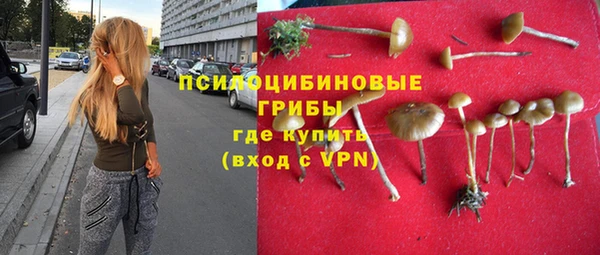 a pvp Абинск