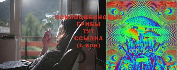 прущие грибы Алзамай