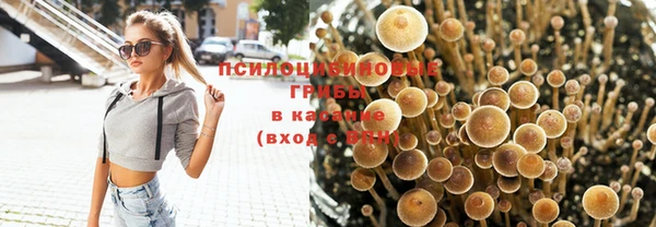 a pvp Абинск