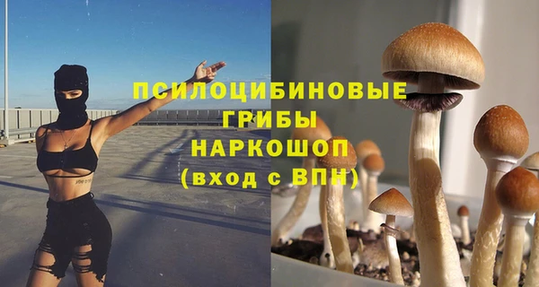 a pvp Абинск