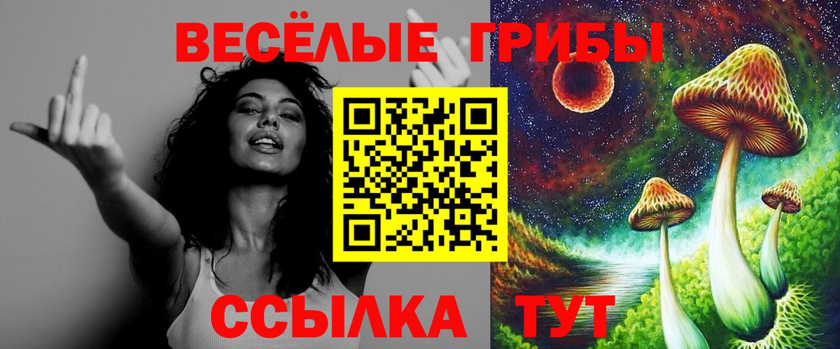 Псилоцибиновые грибы GOLDEN TEACHER  Галлюциногенные грибы Psilocybe  Вход с VPN  Электросталь 